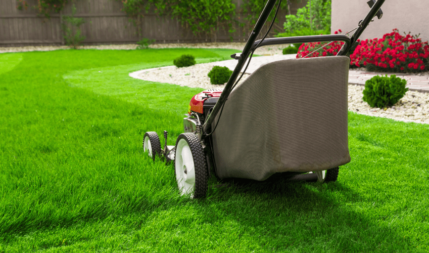 Lawn Mowing